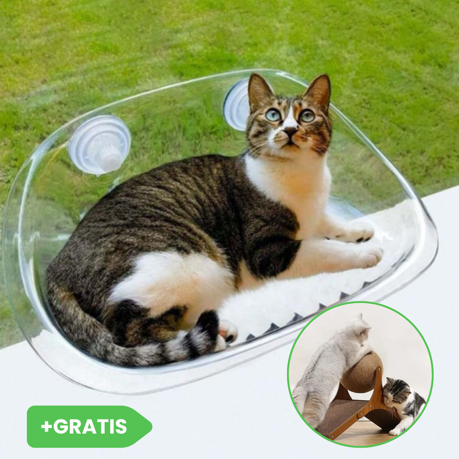 Котешко легло за прозорец CATNEST + Въртяща се котешка топка JISADER GRATIS
